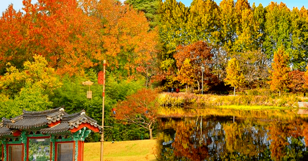 출처 : 온라인커뮤니티