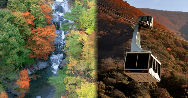 출처-온라인커뮤니티