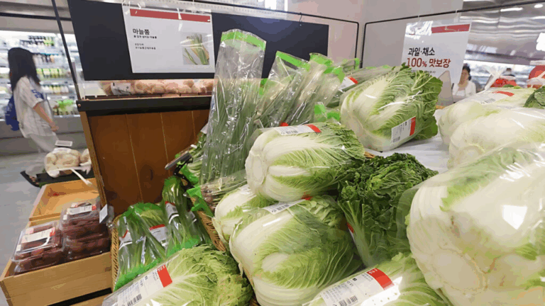 안정세로 돌아선 배추 가격